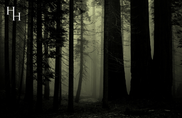 The perfect weekend for ghost hunters giving you that extra night of thrill seeking!